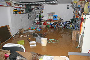 flooded basement. car insurance Big Lake, car insurance brokers, car insurance companies Elk River, car insurance Otsego, car insurance quotes Elk River, general liability insurance cost Big Lake, home insurance, home insurance companies Big Lake, homeowners insurance Elk River, insurance for cad credit Elk River, self-employed health insurance 